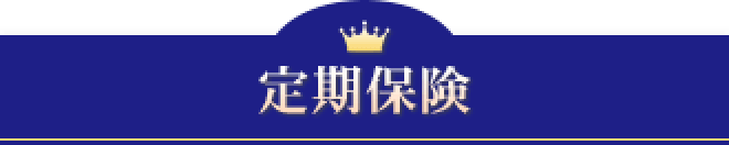 定期保険