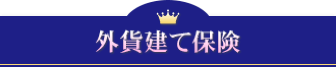 外貨建て保険